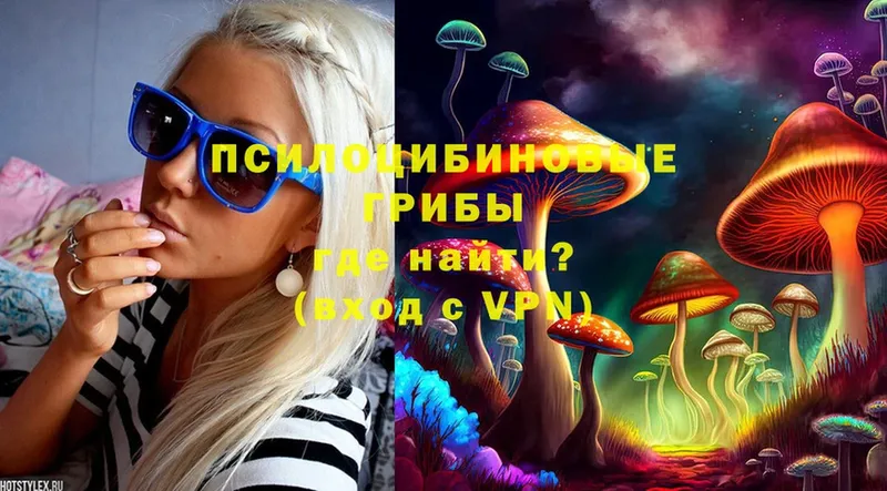 купить закладку  Белёв  Псилоцибиновые грибы Psilocybe 